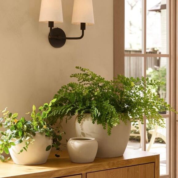 Rejuvenation Williams Sonoma Maria Planter Matte Light Silt Size 12”x9.5” NWT